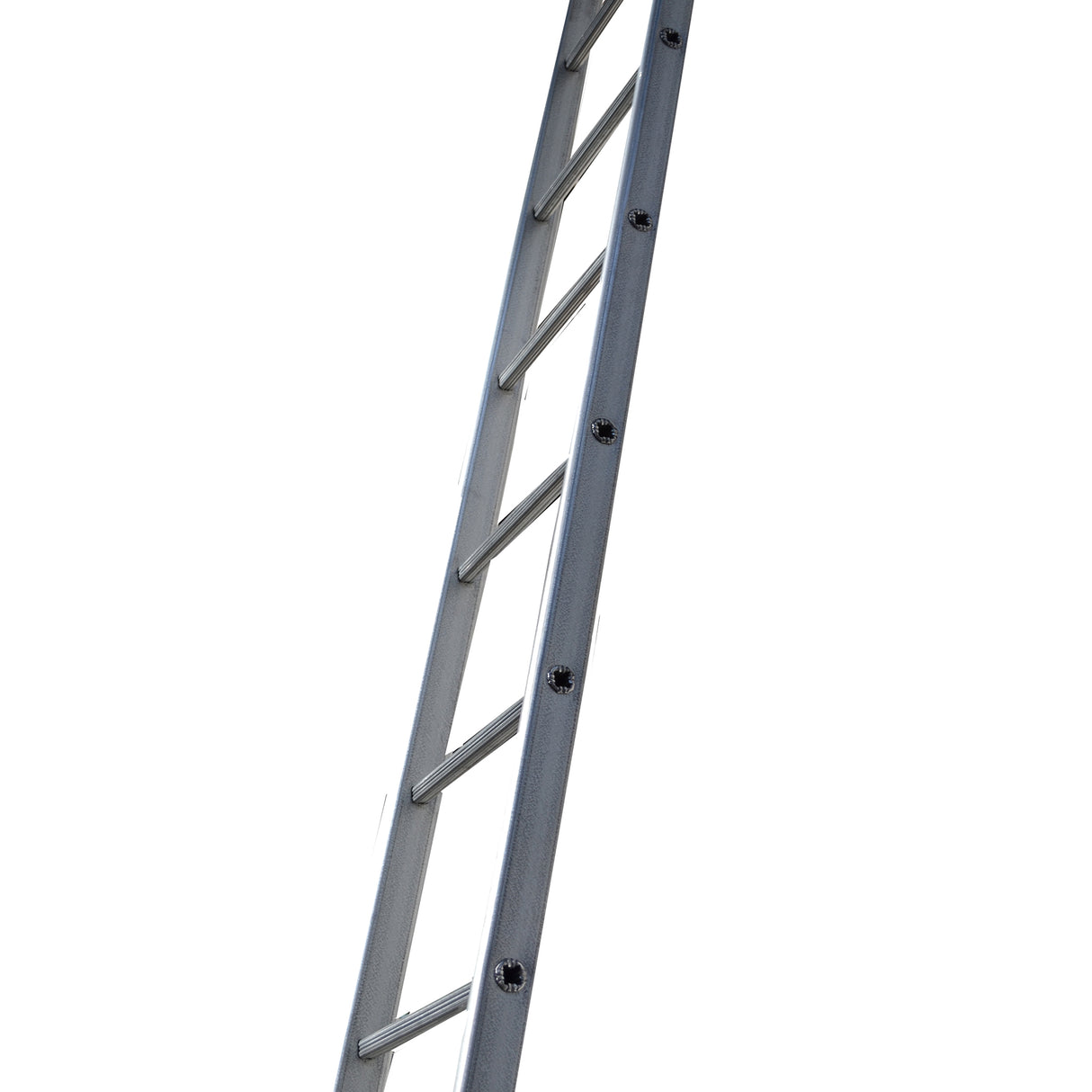 Lyte LFI TuFFsteel Single Section Ladders