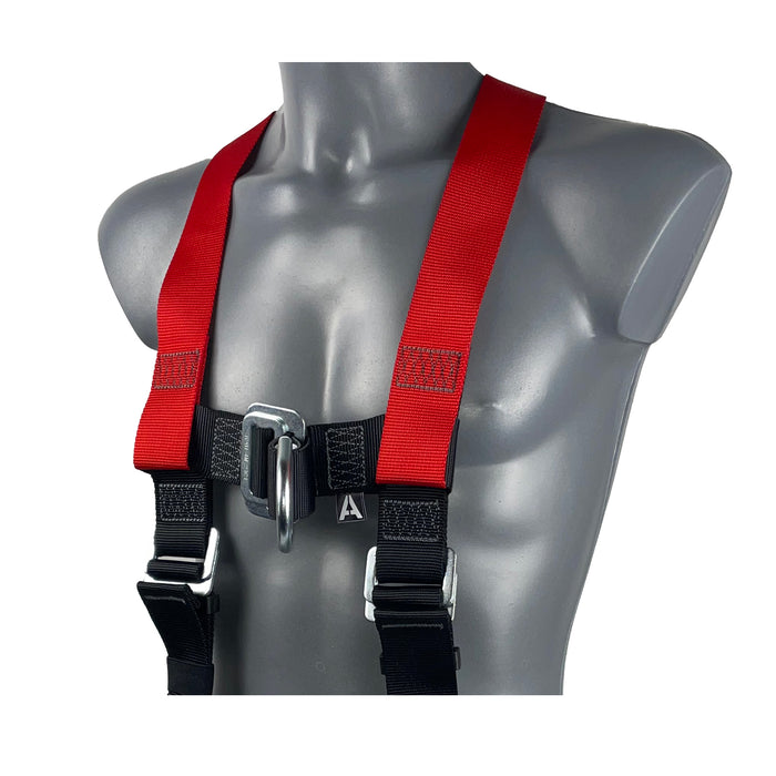 Checkmate® Standard 2-Point Harness (Pass Through Buckles)